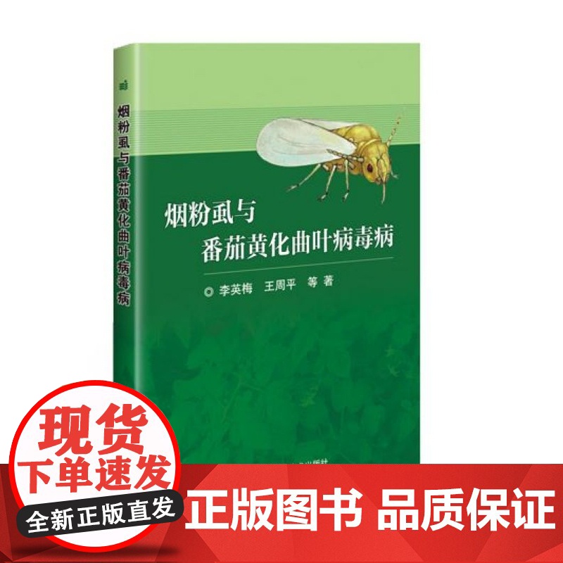 烟粉虱与番茄黄化曲叶病毒病 李英梅 王周平 编 9787511642424 中国农业科学技术出版社高清大图