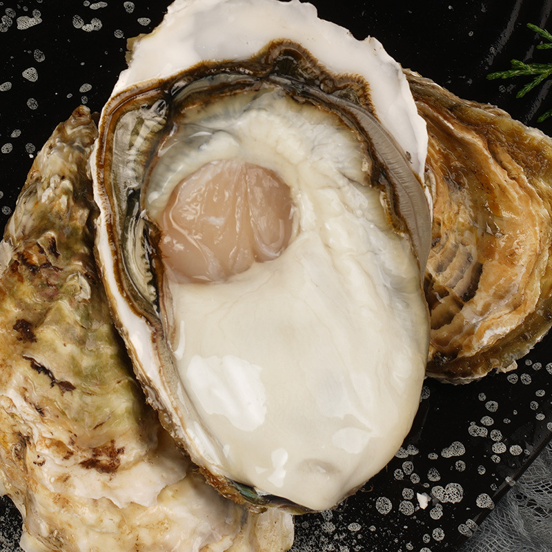 蚝范儿乳山生蚝3-4鲜活5斤牡蛎活鲜海蛎子带箱新鲜海鲜