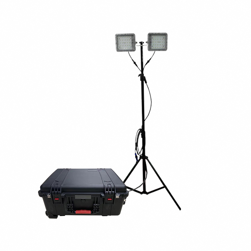 顶火 GMD2668F 电压220V 功率2*50W 防护等级IP66 光源类别LED 照明储能装置 计价单位：台 黑色高清大图