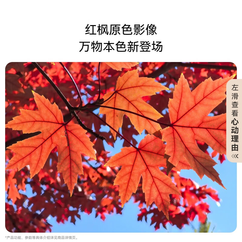 华为Mate 70 12GB+512GB鸿蒙NEXT先锋版 曜石黑鸿蒙AI 红枫原色影像 超可靠玄武架构华为鸿蒙智能手机高清大图