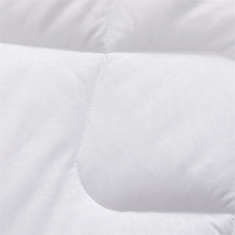 水星 依兰负离子抗菌被床上用品 DH依兰负离子抗菌被 200cm×230cm