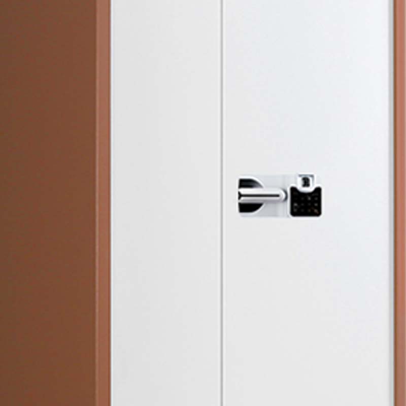 正斌保密柜财务档案柜文件柜办公室资料储物柜保险柜电子密码国保锁通双节咖框白门-国保指纹锁高清大图