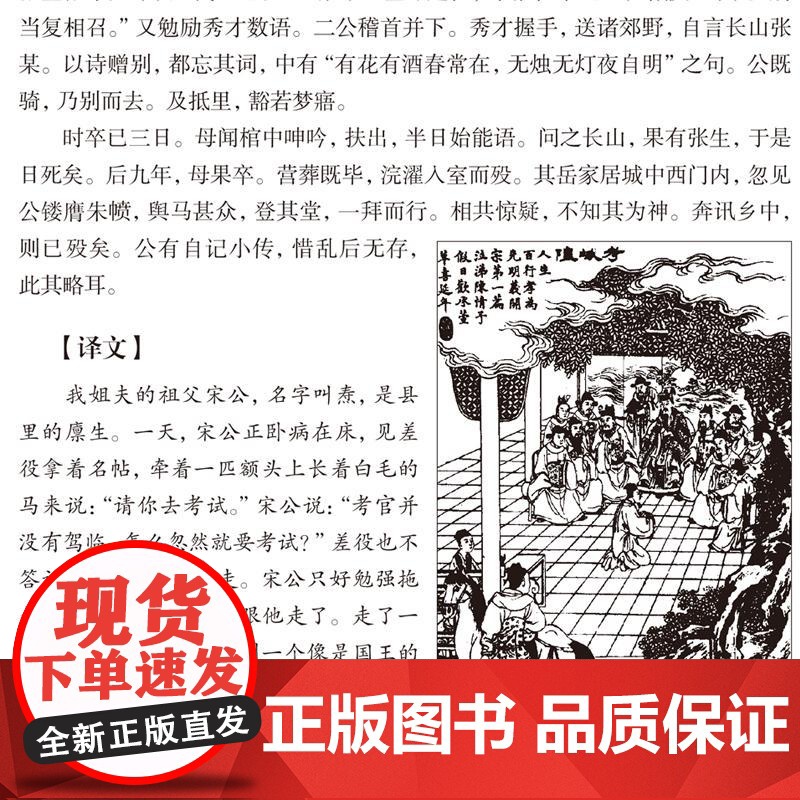 全本聊斋志异(1-6) (清)蒲松龄著 原著正版 罗刹海市 名家名译课外阅读书目中国古典文学国学名著中小学五六七八九年级高清大图