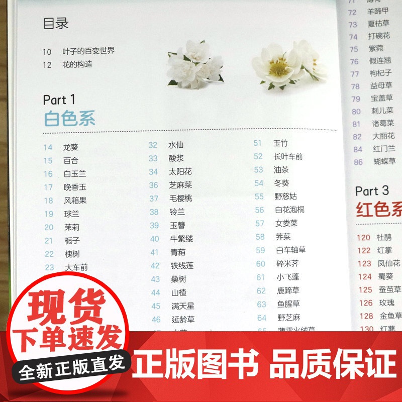 209种常见花草图鉴/家庭种花养花鉴赏图鉴认识常见花草植物花卉书籍花草时光一花一世界一草一天堂身边花草树木速查图鉴书籍高清大图