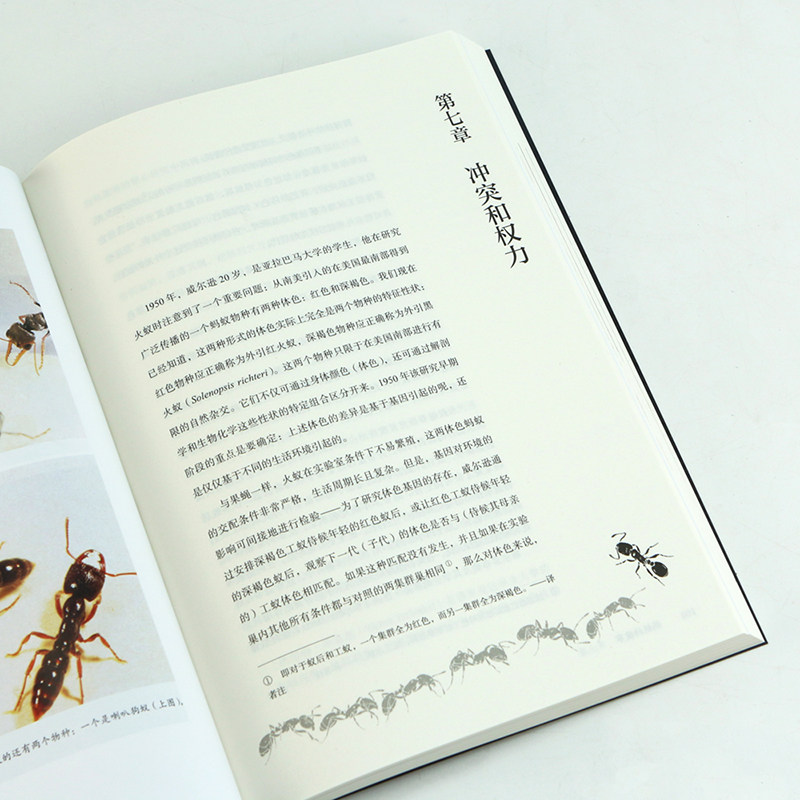 [正版]书店 蚂蚁的故事 插图普利策奖书目灵感动物科普百科生物多样性昆虫研究书籍 后浪 书店书籍高清大图