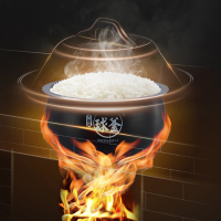 苏泊尔智能电饭煲 球釜电饭煲家用电饭锅 柴火饭煲 24小时预约定时 全面屏触控操作 SF40FC77(4升)