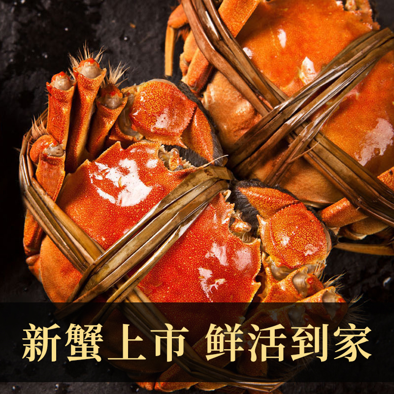 苏州大闸蟹蟹灵阁鲜活六月黄大闸蟹3两8只装公母随机大螃蟹鲜甜满黄直达到家死蟹包赔