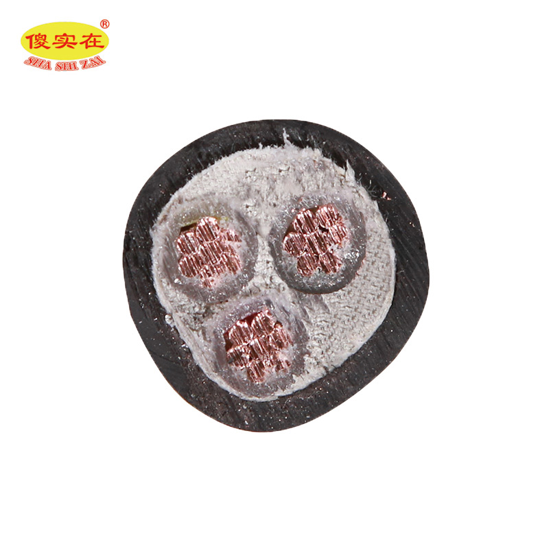 傻实在 电缆 国标全项保检 YJV 3*10mm² 米高清大图
