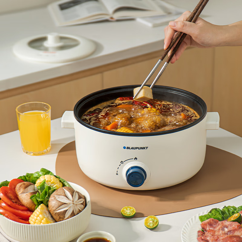 蓝宝(BLAUPUNKT)电煮锅 电火锅家用大容量2-4人使用多功能锅 BP-DZG20-3.5L高清大图