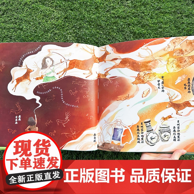 正版 麋鹿回家 中国传奇物种麋鹿四不像的百年复兴之路北京麋鹿生态实验中心著 18头麋鹿是怎样存活下来的 热爱大自然与动物高清大图