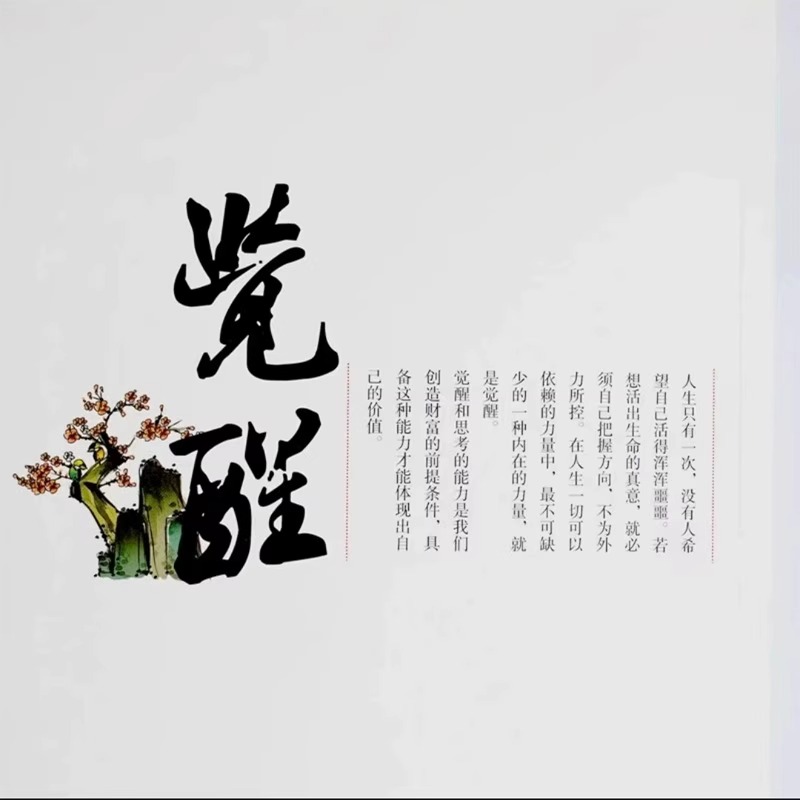 [正版]觉醒 敲破执迷不悟犹如醍醐灌顶令你大彻大悟改变认知突破舒适圈写给年轻人的开窍指南内观自己摆脱负能量书籍高清大图