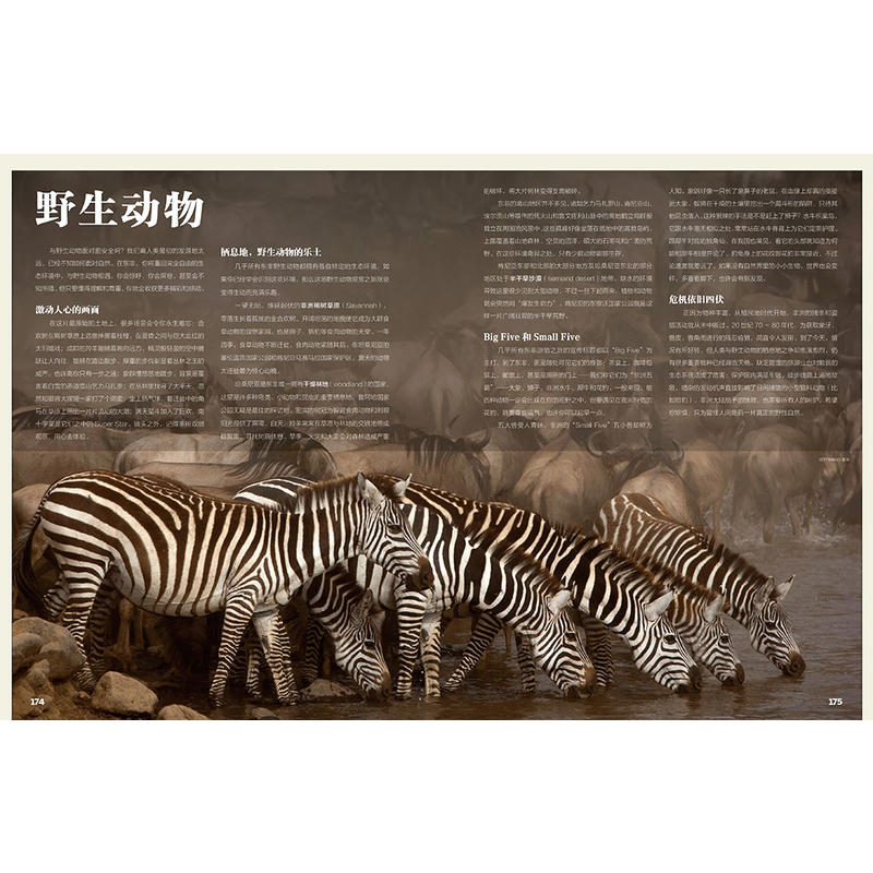 [正版]即刻出发 40个免签、落地签、目的地 孤独星球Lonely Planet 旅行读物系列优惠 旅游攻略书籍高清大图