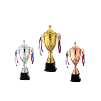 小鹭漫漫奖杯 70CM