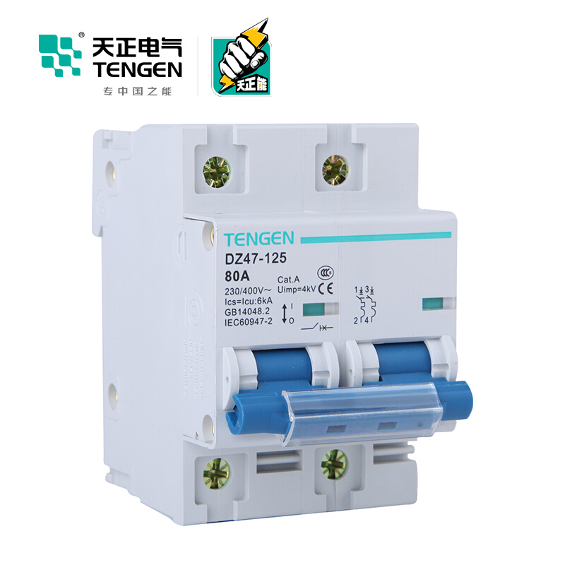 天正电气 空气开关 DZ47-125 2P C80A 6KA 01060020006 微型断路器