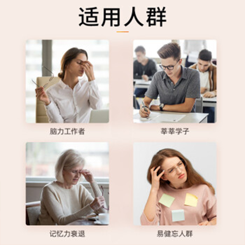 swisse斯维诗 增强记忆力银杏叶片 补脑提高增强记忆力脑活素成人营养品 50片/瓶 单瓶价高清大图