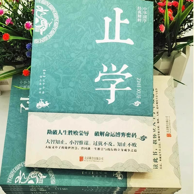 止学王通 止学全集中华国学经典精粹大儒文中子的处世智慧中国哲学白话文 原文注释译文文白对照解读国学 非人民出版社南方出版高清大图