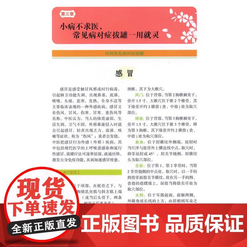 [2册]罐到病除对症拔罐祛百病+常见病对症拔罐速查手册 书籍图片