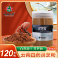 白药养生 灵芝粉