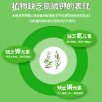高宅 三元复合肥肥料盆栽家用通用型养花蔬菜氮磷钾化肥缓释兰花卉绿植