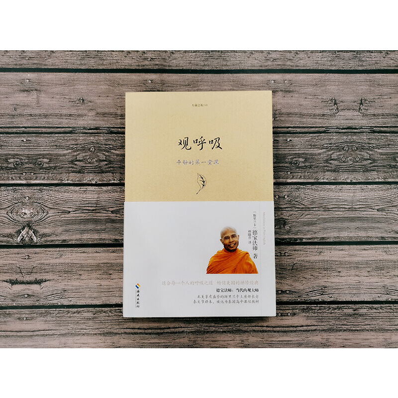 [正版]观呼吸 德宝法师 当代内观大师德宝法师代表作 适合人人的呼吸之道 宗教哲学佛学佛教佛书入门初学者书籍 海南出版高清大图