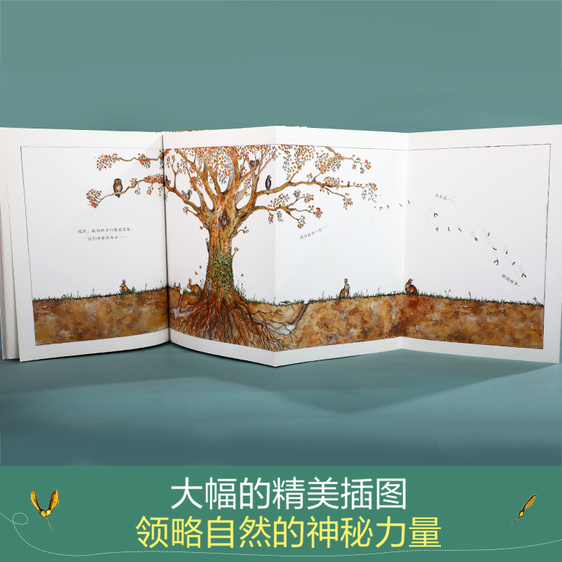 从一粒种子开始 点读版 [正版] 精装绘本 从一粒种子开始 可点读 直观呈现种子成为大树让孩子懂得坚定版画画风精美插图3高清大图