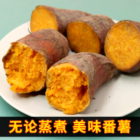 【清仓特惠价】新鲜沙地糖心红薯小薯10斤（单果约20~100g）蜜薯正宗湛江西瓜红番薯甜糯地瓜粉糯香甜健康绿色食品
