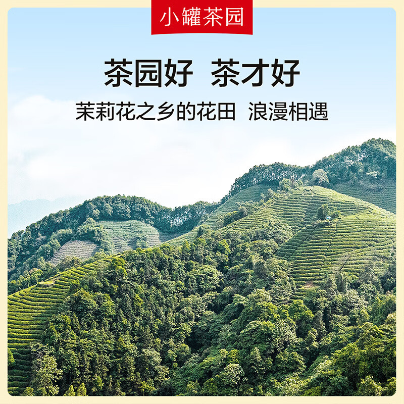 小罐茶(XIAO GUAN TEA) 彩标系列 茉莉花茶 罐装茶叶 95g (单位:罐)2罐起订高清大图