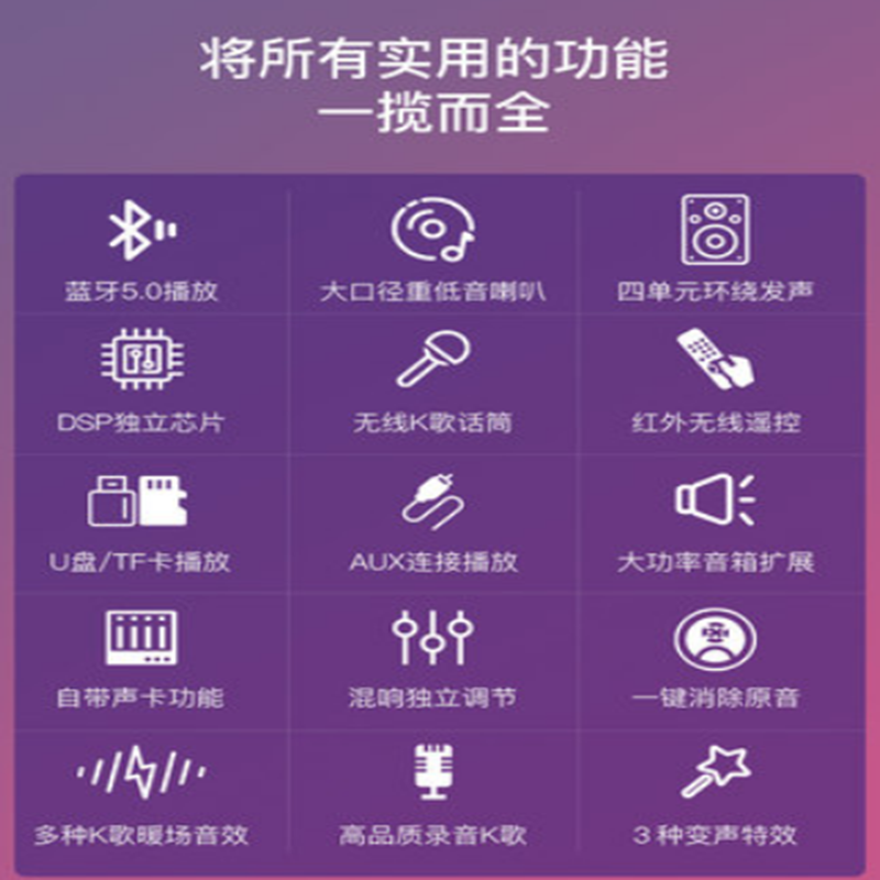 音响 黑色 主机+无线麦克风*1+遥控器