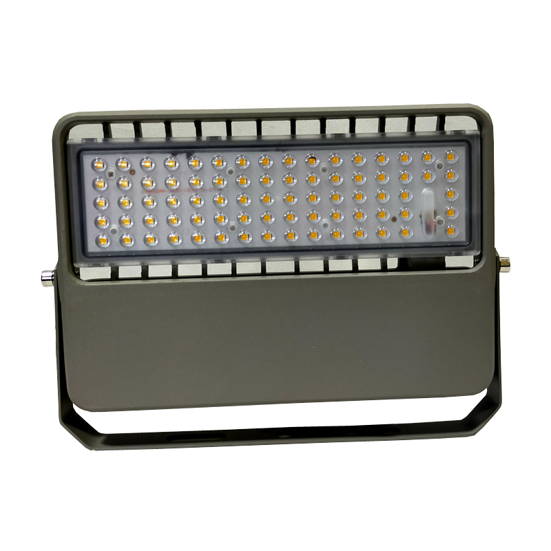 LHE2365 LED应急投光灯 30W 6000K DC24V IP65(计价单位:盏)高清大图