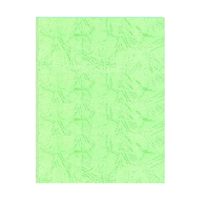 奥驰 皮纹纸180g浅绿色 A4 100张/包高清大图