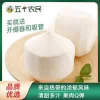 (疫情原因暂时停发)五个农民泰国椰青原箱2个精品大果(900g-1100g)新鲜水果当季椰子香椰香水椰青生鲜自营应季水果
