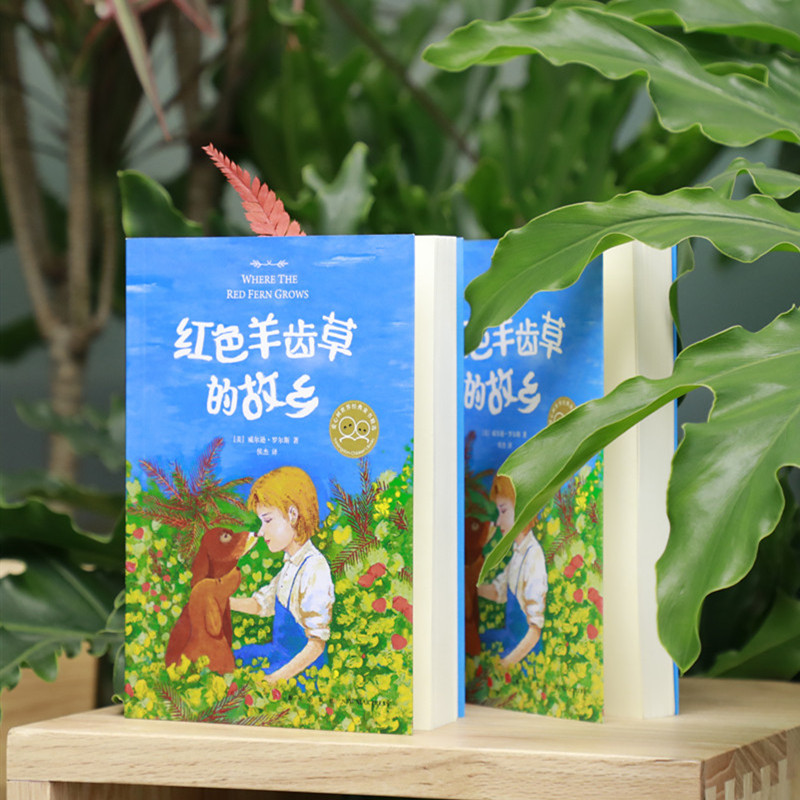 [正版]书店红色羊齿草的故乡 (美)威尔逊·罗尔斯著 外国儿童文学新星出版社小学生高清大图