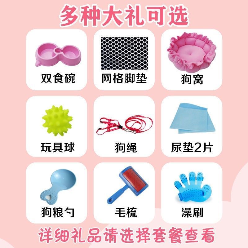 无赠品(含托盘) 50x35x40cm粉色(5斤内) 狗笼子小型犬中型犬带厕所宠物笼子泰迪狗笼子猫笼子兔笼鸡笼狗窝