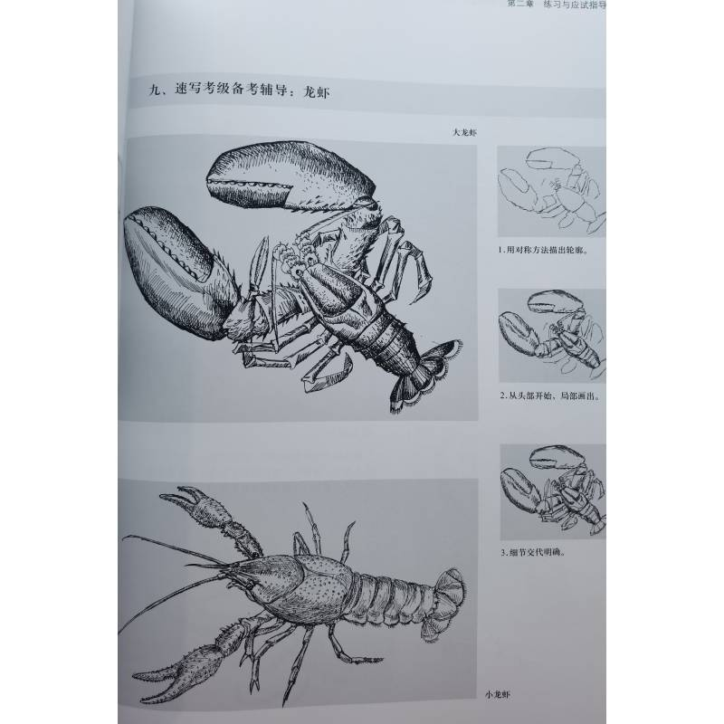 醉染图书速写考级 4~6级9787547903612高清大图