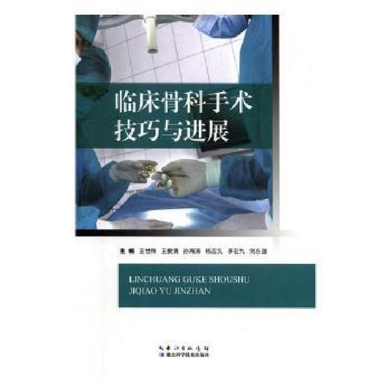 音像临床骨科手术技巧与进展王世辉【等】主编