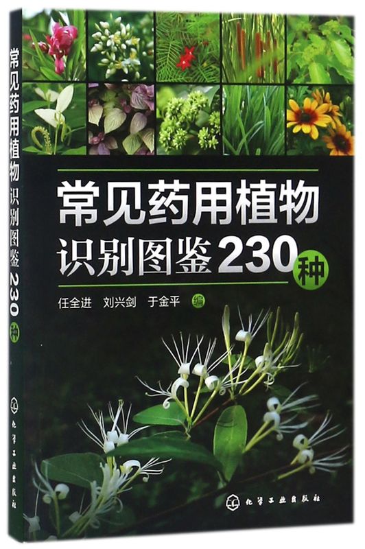 [正版]常见药用植物识别图鉴230种高清大图