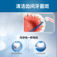 飞利浦(Philips)冲牙器通用清洁喷嘴HX8032/05灰色 2支装 适配HX8331/HX8401/HX8431