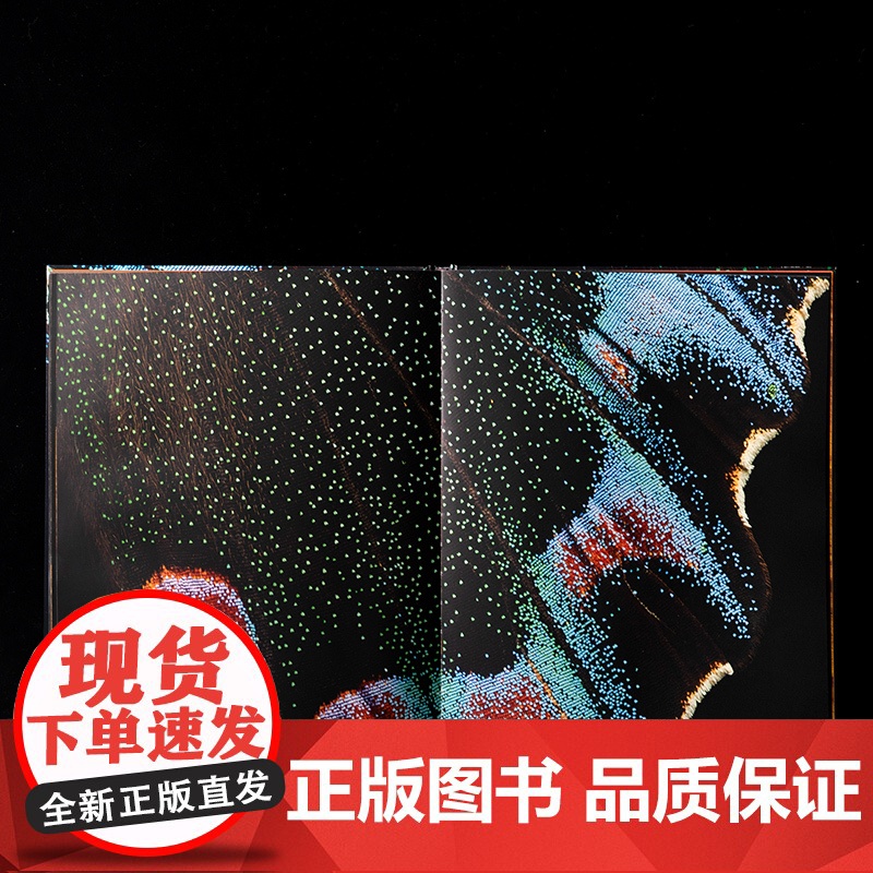 昆虫的艺术 当代微距摄影画册 中国国家地理 “无穷小亮”张辰亮倾情审订高清大图