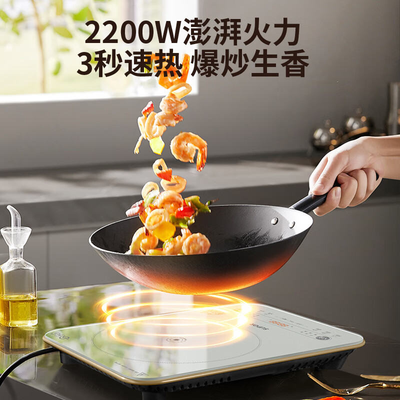 苏泊尔电磁炉电磁灶家用/商用2200W大功率大面板大线圈防辐降噪预约定时 C22-IA09[特设火锅专区配双锅]