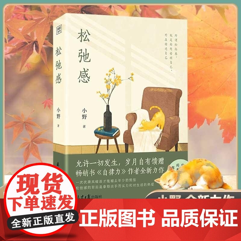 松弛感 小野/著 北京日报出版社 情商与情绪社科社畜自救指南保持身心能量随时调整好状态再出发高清大图