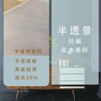 森美人挂屏软帘软隔断软挂帘半透明屏风 半透明挂帘卷帘大鱼小房子