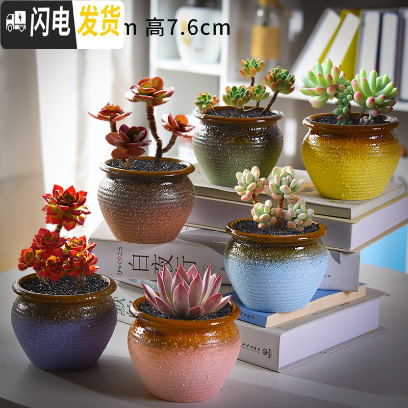 三维工匠多肉花盆套装组合创意个性简约植物盆器室内肉肉花盆批发 如图款式5 中等花盆容器