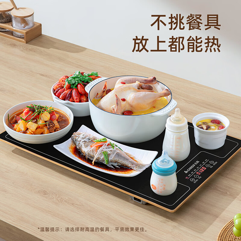 志高(CHIGO)暖菜板 热菜板保温板 加热菜板 加热桌垫 饭菜保温板长方形家用多功能餐桌热菜神器 QF02H高清大图