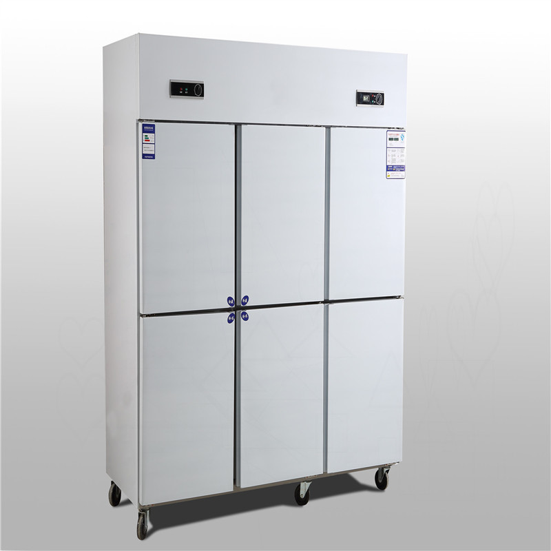 鑫盛佳xinshengjia六门冰柜18007001920