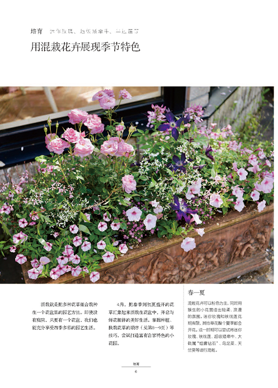 [正版]莳花弄草 我的园艺慢生活 140种易栽的园艺花卉庭院景观设计 家养植物指南 家庭园艺 室内盆栽植物 养护教程高清大图