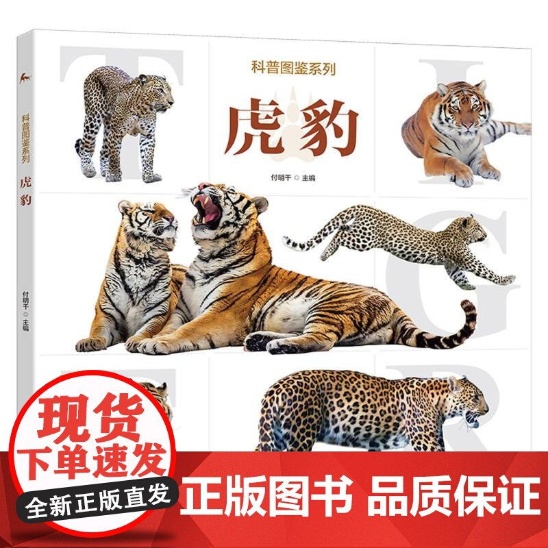 科普图鉴系列-虎豹 了解自然界动物科普百科书籍动物知识学习图鉴儿童绘本图画书小学生动物百科课外阅读书籍