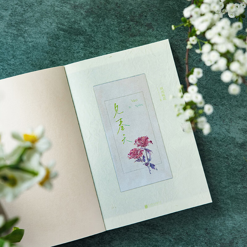 见春天 [正版]限价24.9见春天 纵虎嗅花 晋江人气作者催泪之作 青春文学爱情情感校园小说实体书高清大图