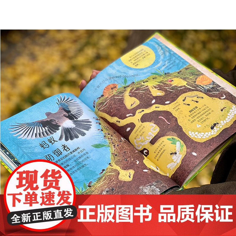 dk儿童百科全书精彩的虫百科大全书科学动物百科昆虫漫画书籍0-3--4-6岁儿童幼儿爱读的书籍绘本书里藏着好多虫博物动物高清大图