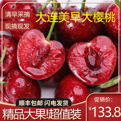 [中华特色馆瓦房店馆]大连新鲜现摘美早大樱桃新鲜美味脆甜多汁JJJ级带箱2斤装新鲜水果顺丰发货