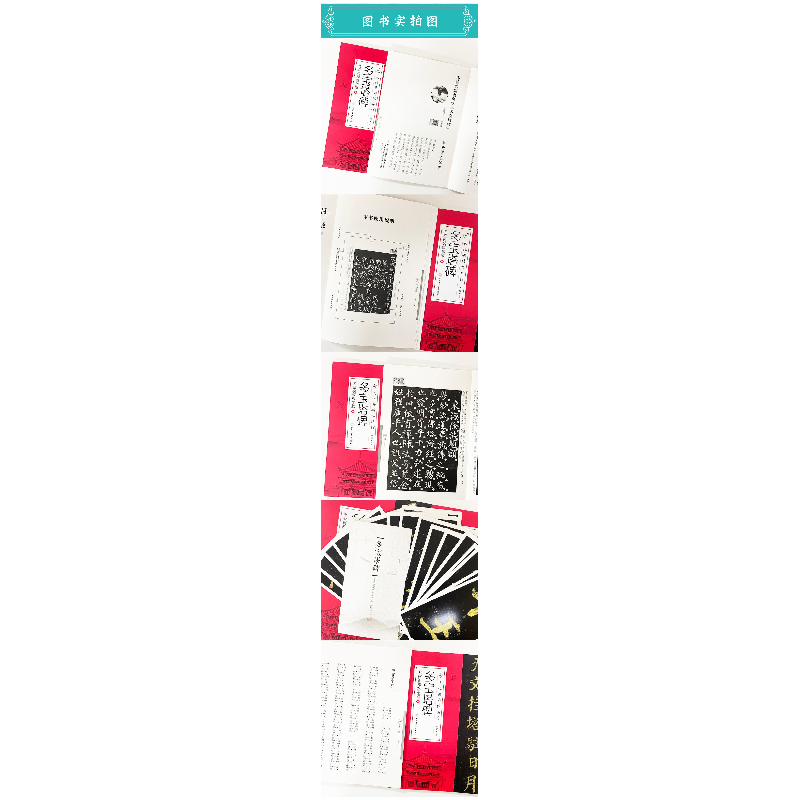 正版新书]多宝塔碑白锐主编9787564437275高清大图